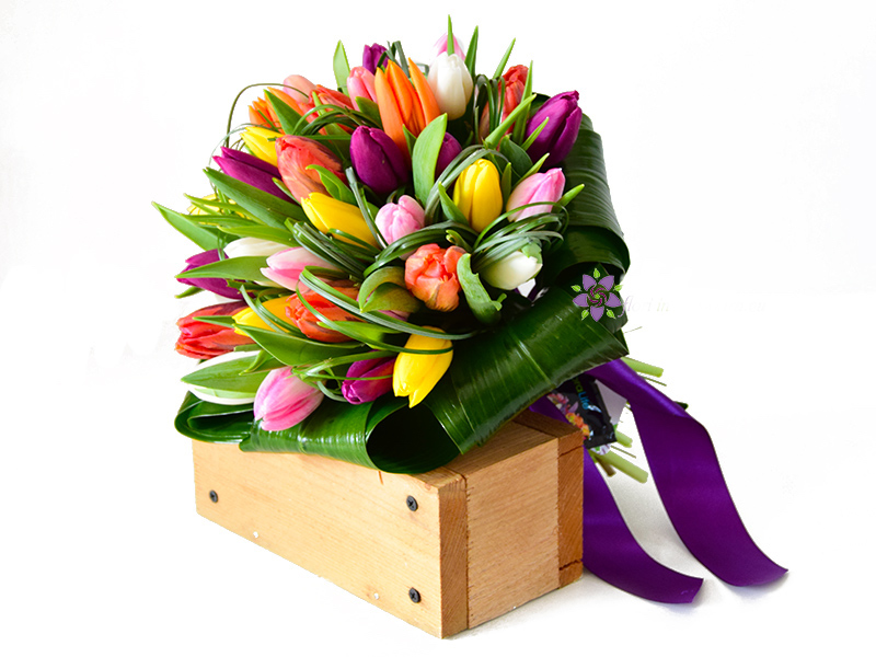 33 multicolored tulips: DUPA PRET