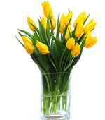 19 lalele galbene: Flori in vaza