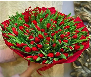 101 Red Tulips