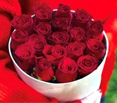 Red Roses: Red roses