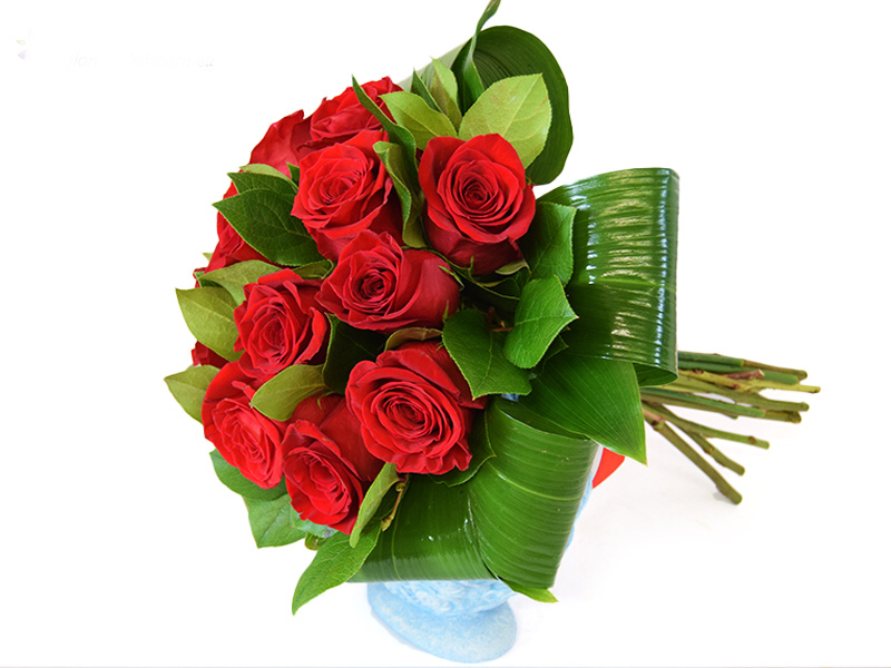 Roses for her birthday: Red roses