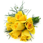 7 yellow roses: Sub 100 lei