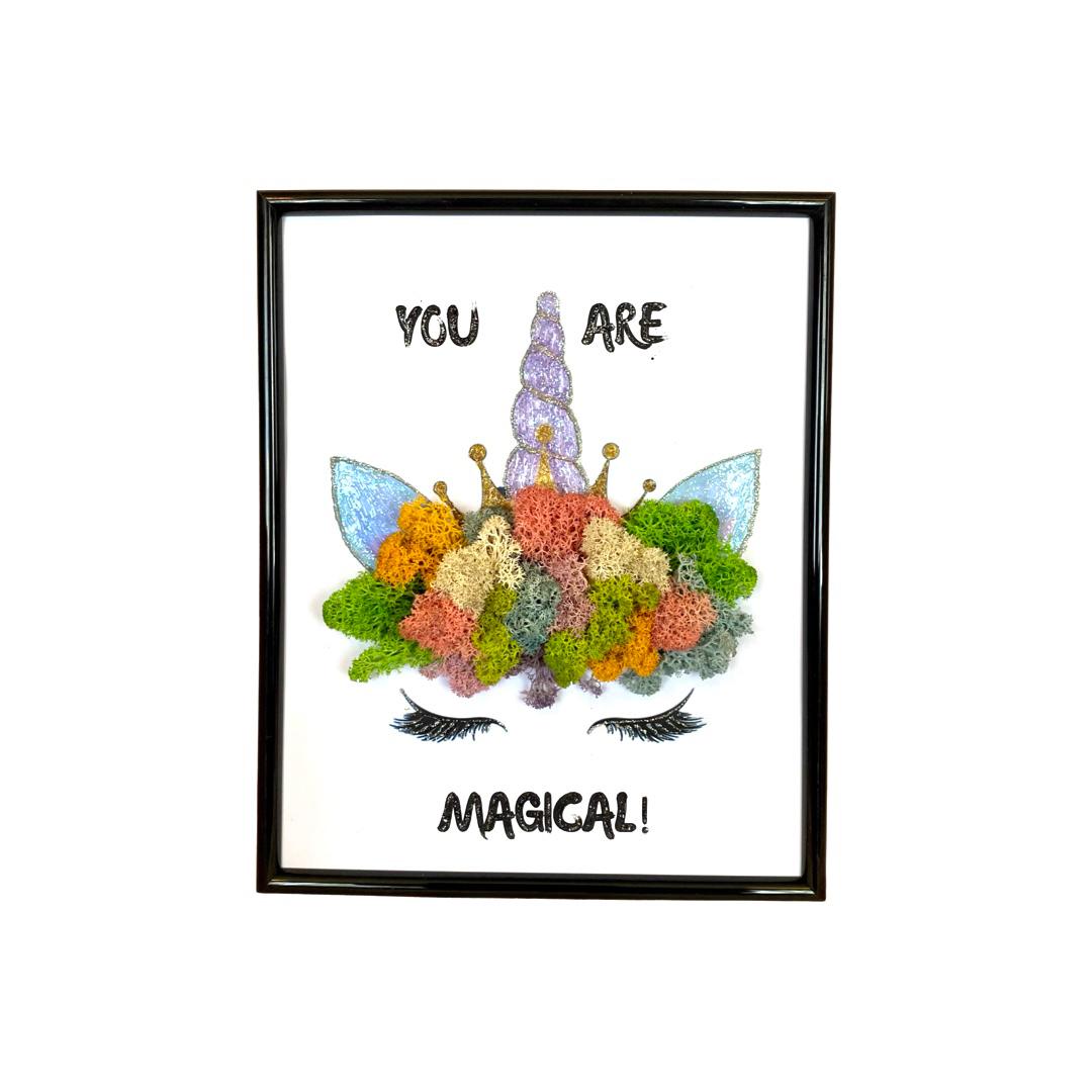 You are magical!: Tablouri cu licheni stabilizitati