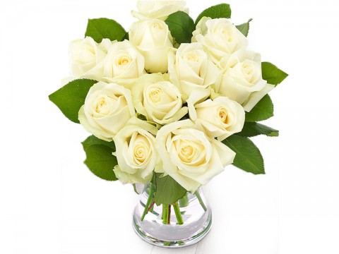 21 white roses: Thank you