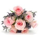 7 pink rosses
