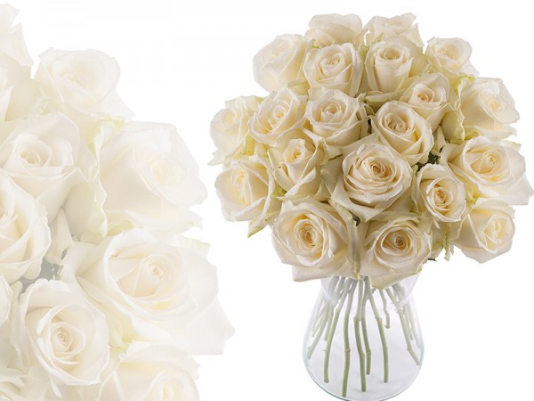 17 trandafiri albi : White roses