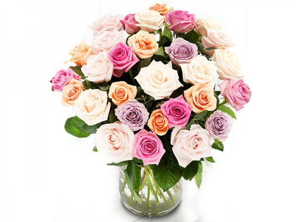 17 trandafiri multicolori: White roses