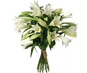 7 white lilies: Intre 201 si 300 lei
